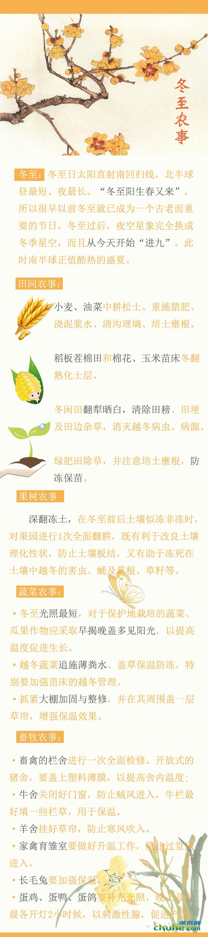 1450687055526_看图王.jpg