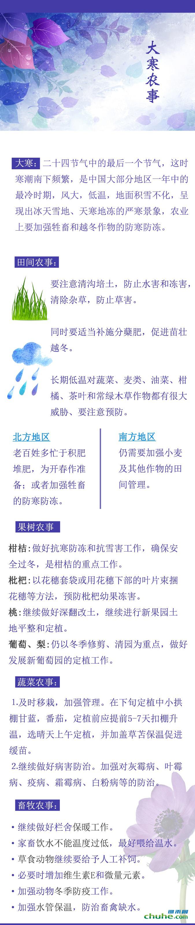 1453253236667_看图王.jpg