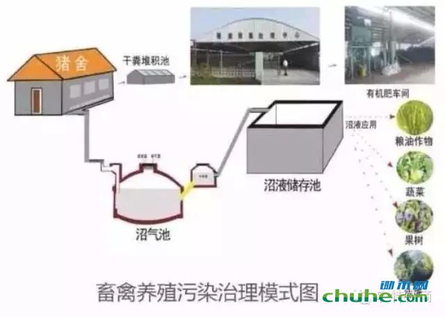 1.webp (1).jpg