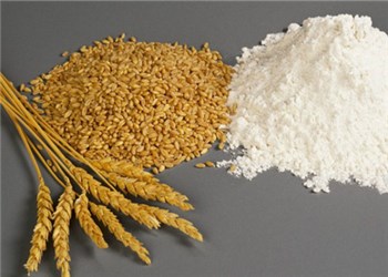 麦子价低农户亏损 商业保险助力化解
