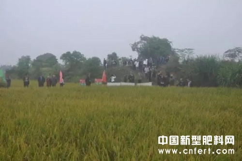 图片8.jpg