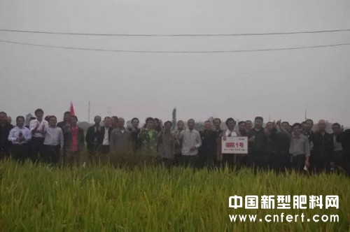 图片10.jpg